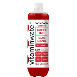 Viwa Vitality vitaminvíz 0,6l