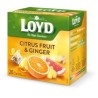 Loyd citrus fruit-gyömbér tea 20x2g