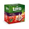 Loyd piramis csipkebogyó-alma tea 20x2g