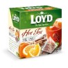 Loyd piramis hot narancs-fahéj tea 20x2g