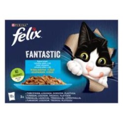 Felix Fantastic macska...