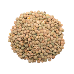 Tündérkert lencse 400g