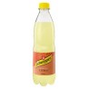 Schweppes Citrus Mix 0,5l PET, drs