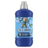 Coccolino Perfume&Care Passion Flow&Bergamot öblítőkoncentrátum - 1275 ml