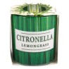 Verona citronella illat.üv.poharas mécses 1db