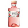 June by G'Vine watermelon gin 37,5% 0,7l