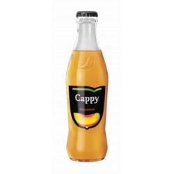 Cappy 0,25l üveges üdítő őszibarack, BET