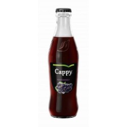 Cappy 0,25l üveges üdítő...