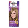 Schwarzkopf Palette Intensive Color Creme hajfesték N7 világosszőke